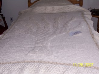 50th Anniversay Afghan, original design