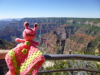 annie-the-alien-at-the-grand-canyon-north-rim