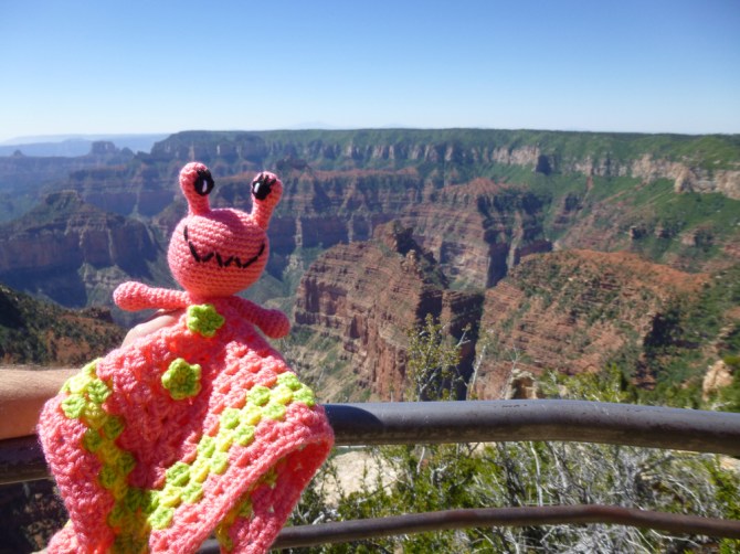 annie-the-alien-at-the-grand-canyon-north-rim