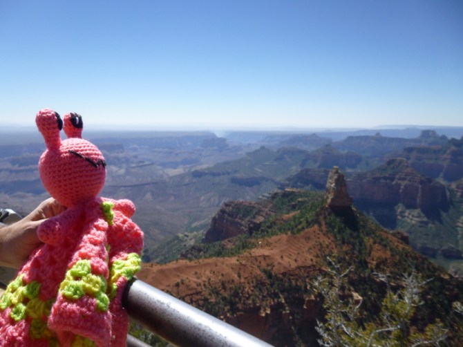 annie-the-alien-enjoys-the-views-of-the-grand-canyon