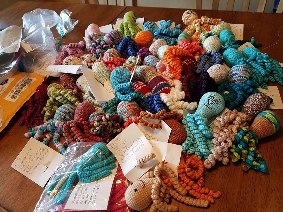 Octopus for a Preemie-US